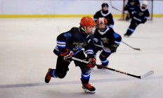 开云体育登录-包含奥地利代表团在滑雪场上发挥强劲实力的词条