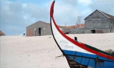 开云APP-葡萄牙帆船运动员奏凯，斩获金牌