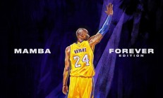 开云体育官方网站-东决鏖战夜，当扣将化身终结者，拉文刺破质疑的尖刀时刻