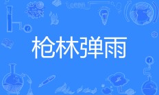 开云体育APP下载-关于枪林弹雨的比赛场面让人目不暇接！的信息