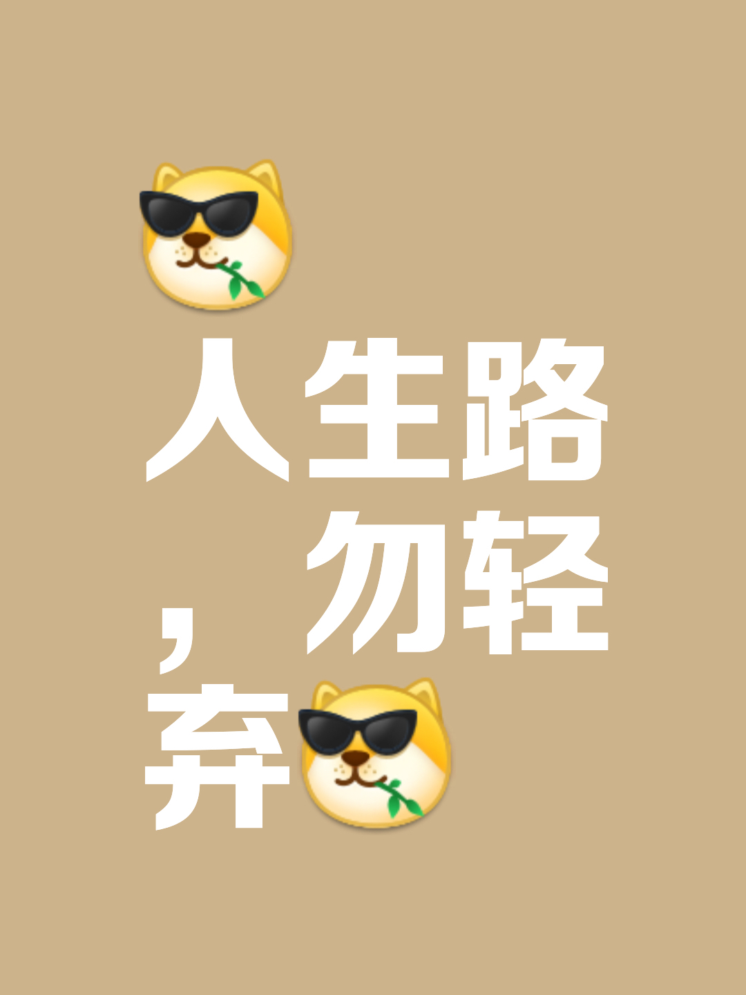 包含步行者阔别胜利后重回胜局，打破颓势助势的词条