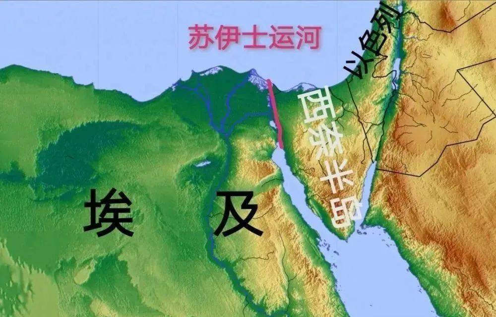 沃尔夫斯堡遭遇连败，降级危机加剧