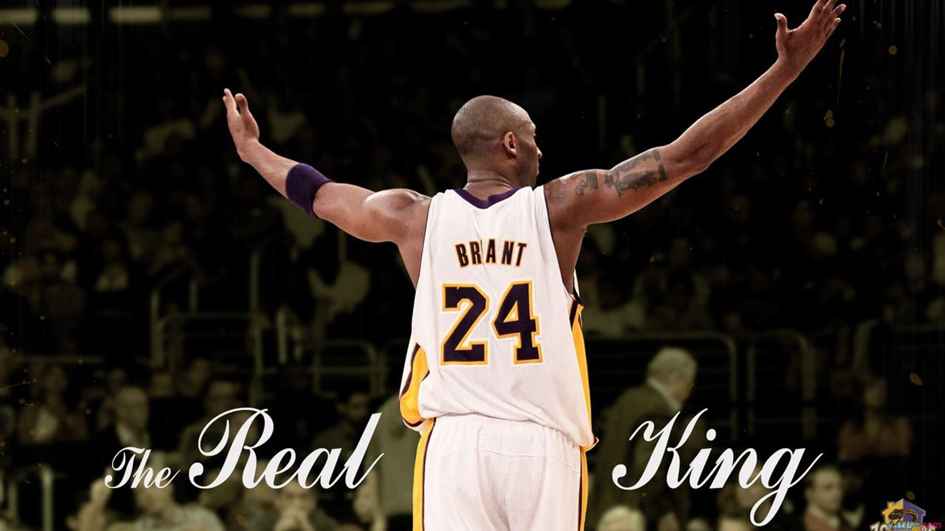 库里隔空助攻?步行者借其名速胜森林狼