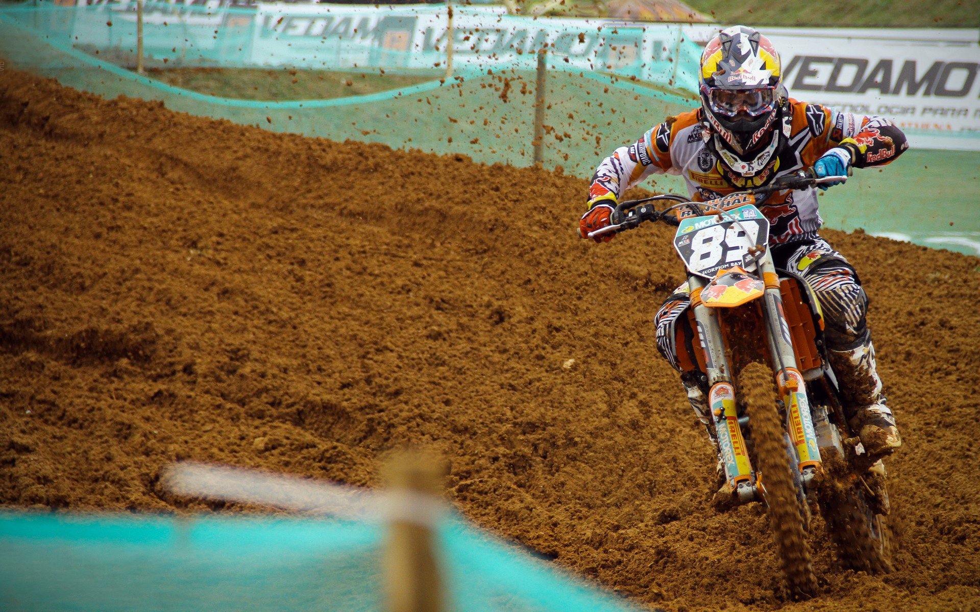 赛道与球场,上海体育周末的双重奏